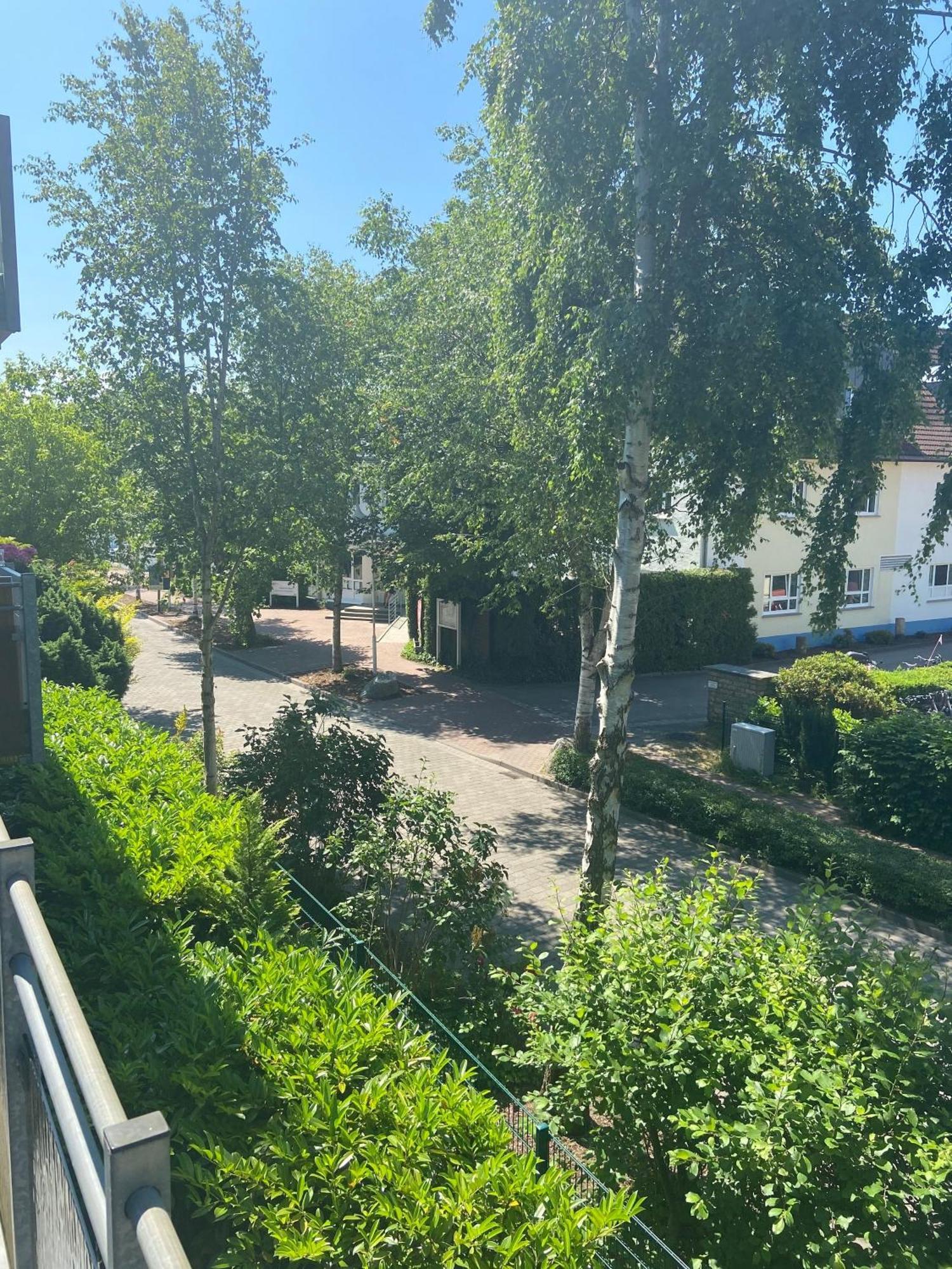 Meeresrauschen Zingst Eksteriør bilde